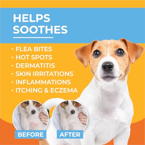 Paw Science Anti-Itch Hydrocortisone Moisturizing Lotion for Dogs & Cats – Hot Spot Treatment, Dog Itching Skin Relief, It...