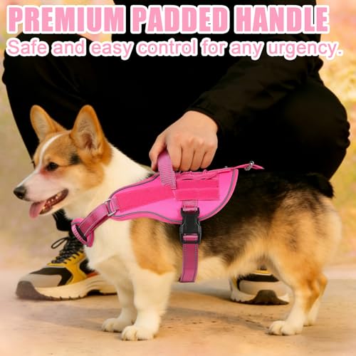 Service Dog Vest, No Pull Dog Harness Small Medium Sized Dog, Service Dog Harnesses and Leash Set, Reflective Easy Walk Do...