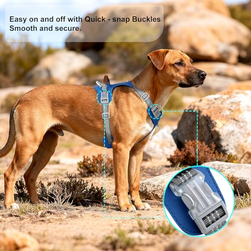 ApakBak No Pull Dog Harness – Adjustable Reflective Nylon Vest for Small Medium Large Dogs, Escape Proof Training Harness ...
