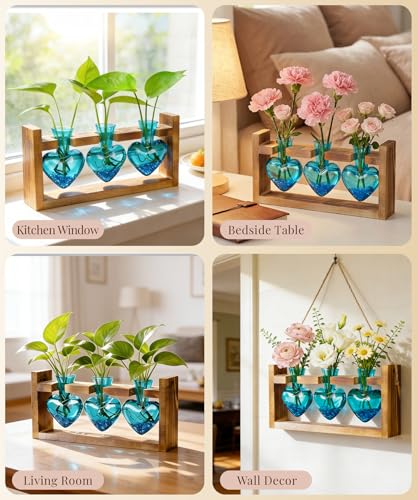 Nacome Plant Terrarium Propagation Stations: Mothers Day Gifts for Mom Plant Lovers Women Wife Daughter - 3 Bulb Glass Vas...