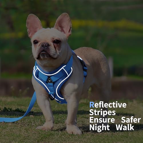 Jolifield No Pull Dog Harness with Leash Set for Small Sized Dog, Reflective Adjustable No Choke Front Clip Cat Vest Harne...
