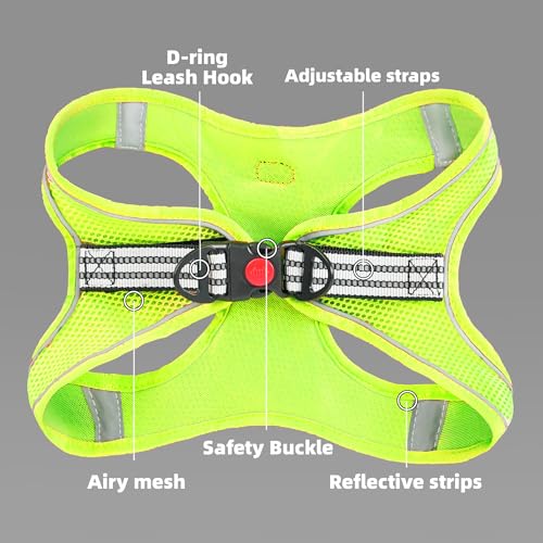 ROYPET Step-in Air Dog Harness, All Weather Mesh Step in Vest Harness for Small and Medidum Dogs and Cats, Adjustable Soft...