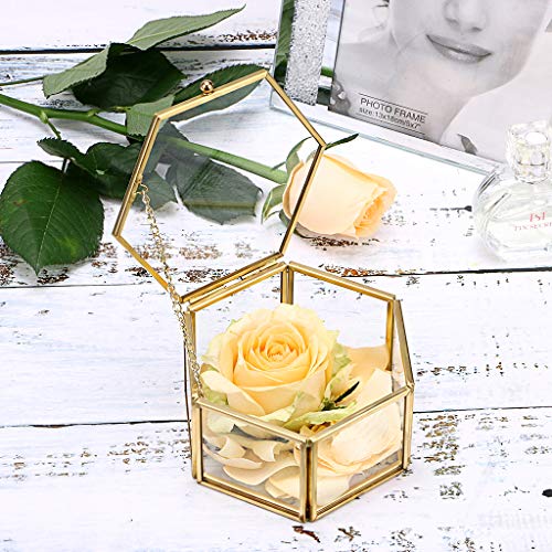 Hipiwe Preserved Flower Glass Box, Hexagon Glass Jewelry Decorative Bin, Ornate Trinket Display Organizer Case Keepsake Bo...