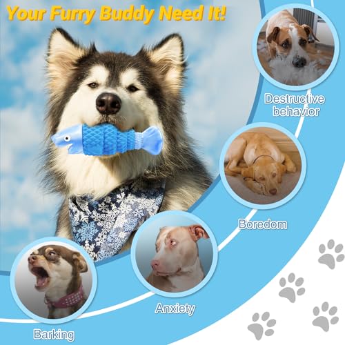 WinTour Tough Dog Toys for Aggressive Chewers, Indestructible Dog Chewers for Medium & Large Breeds, Squeaky Durable Chew ...