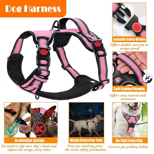 LOBEVE No Pull Dog Harness, Collar & Leash Set | Includes Dog Seat Belt, Collapsible Bowls & Poop Bag Dispenser. Ideal for...