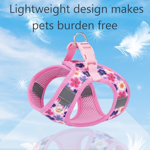 Small Dog Harness and Leash Set, Step in Dog Harness No Pull for Walking Running Training, Puppy Essentials for Dogs Cat B...