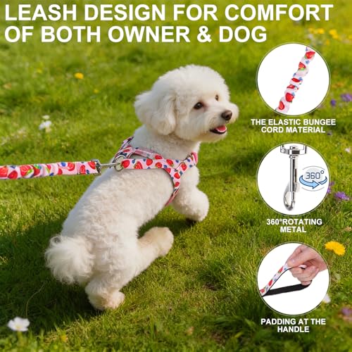 EXPAWLORER No Pull Small Dog Harness and Leash Set, Adjustable Soft Breathable Mesh Puppy Vest with Padded, Quick Fit Esca...