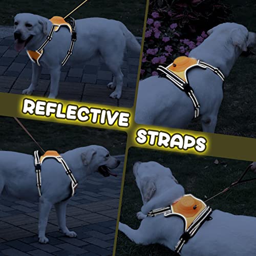 2-in-1 No Pull Dog Harness & Retractable Leash - Large Dog Harness with Auto-Lock, Reflective & Adjustable-XL