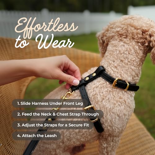 Luxury No Pull Dog Harness and Leash Set, PU Leather Escape-Proof Design, Anti-Choke Comfort, Front/Back Attachment, Essen...