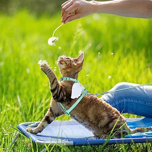 TIESOME Cat Harness and Leash Set, Adjustable Gradient Kitten Harness Escape Proof Harness with Leash for Kitty Outdoor Wa...