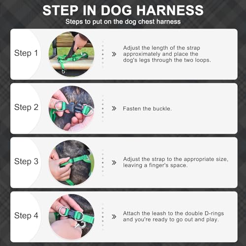 BEAUTYZOO Step in Dog Harness Collar and Leash Set for Small Medium Large Dogs, No Pull No Choke Puppy Harness, Soft Mesh ...