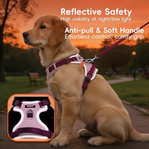 3 in 1 No Pull Dog Harness Leash and Collar Set, Soft Adjustable Dogs Vest Reflective and Comfortable Handle Pink Small