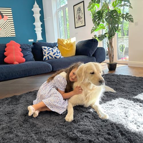 OLANLY Area Rugs for Living Room Bedroom, Machine Washable 4x5.9 ft Soft Fluffy Shaggy Bedside Rug, Indoor Floor Carpet fo...