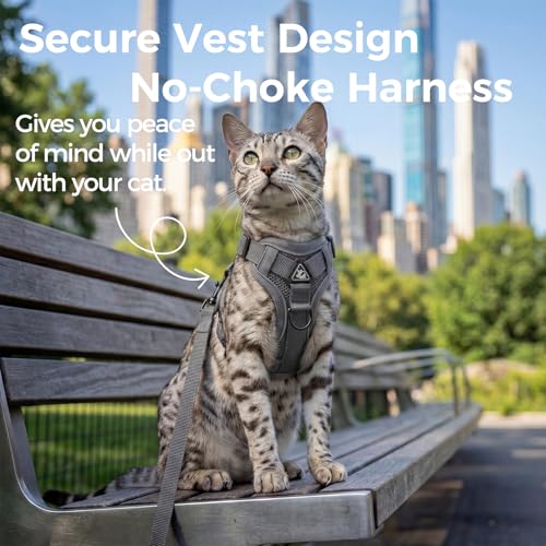 pangdi Cat Harness and Leash Set Escape Proof Tactical Extra Large Kitten Harness Emotional Support Cat Vest, Grey, XL