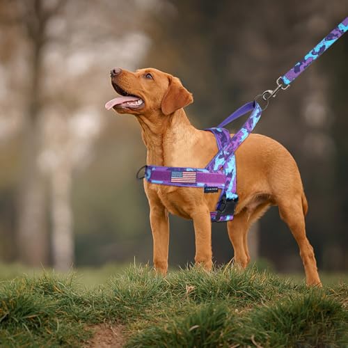 Annchwool No Pull Dog Harness with Padded Handle+5 Ft Leash,Escape Proof and Quick Fit to Adjust Dog Harness,Easy for Trai...