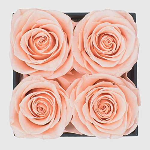 Graceful Fleurs Real Long Lasting Roses in a Box for Years, Preserved Fresh Forever Flowers for Delivery Birthday, Mothers...