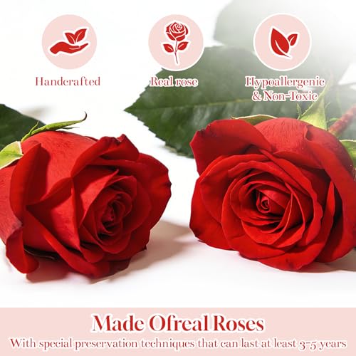 CuteWelt Preserved Roses,Forever Fresh Flowers 7.48in,Gift for Women,Mom,Grandma,Wife,Girlfriend,Sister,and Daughter Perfe...