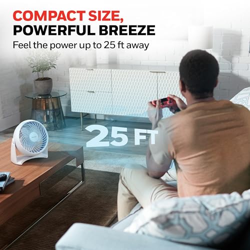 Honeywell TurboForce Air Circulator, Small Tabletop Fan, Quiet Personal Fan for Home or Office, 3 Speeds, 90 Degree Pivoti...