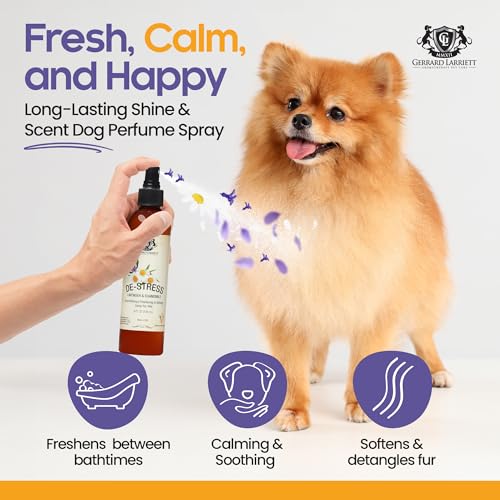 Dog Perfume Spray Long Lasting Chamomile & Lavender 8 Fl Oz, Dog Cologne Spray Long Lasting for Groomers, Calming Deodoriz...