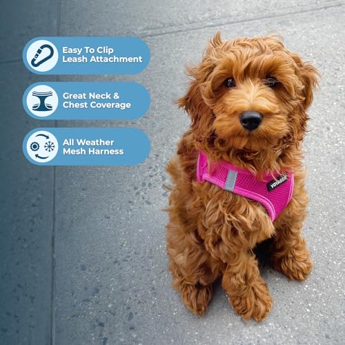 Best Pet Supplies Voyager Step-in Air Harness - All Weather Mesh, Reflective, No Pull Harness for Dogs, Cats - Secure with...