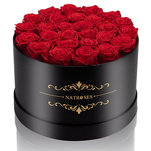 NATROSES Gifts for Her 27 Piece Forever Preserved Roses in a Box, Preserved Flowers for Delivery Birthday, Flowers Gifts f...
