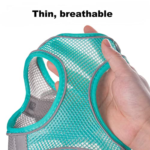 Small Dog Harness and Leash Set, No-Pull Reflective Puppy Harness for Outdoor Walking, Breathable Mesh Girl Cats Vest for ...