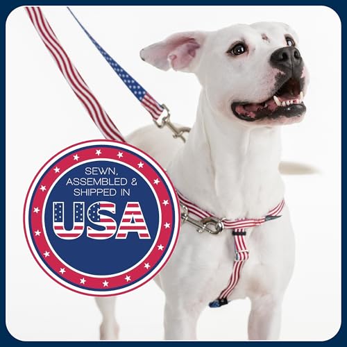 2 Hounds Design Freedom No Pull Dog Harness, Adjustable Harness, Easy Walking & Comfortable Control, Fits Small, Medium & ...