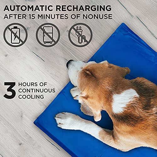 Arf Pets Pet Dog Self Cooling Mat Pad for Kennels, Crates and Beds 31 X 37
