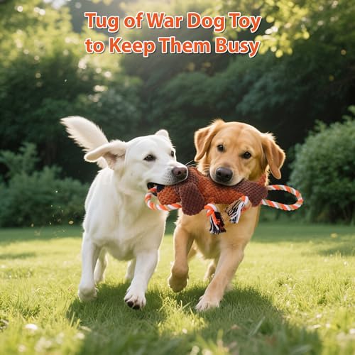 Drmstow Plush Dog Toys with Rope, Squeaker & Crinkle Paper – Interactive Squeaky Chew Toy for Large Dogs & Puppies – Tough...
