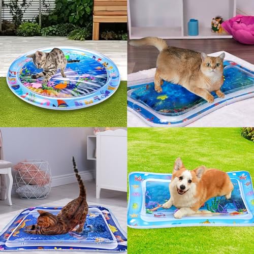 bailconti Cat Water Mat, 2025 Upgraded Thickened Anti-Scratch Leak Proof Cats Water Sensory Play Mat with Floating Fish, P...
