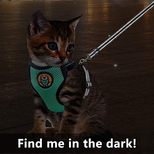 AWOOF Reflective Kitten Harness and Leash Escape Proof with Car Seat Belt, Adjustable Cat Puppy Walking Jacket with Metal ...