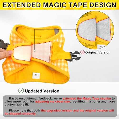 AIITLE No Pull Dog Harness and Leash Set, Step in No Chock Soft Mesh Dog Harnesses Reflective for Extra-Small Puppy Dogs a...
