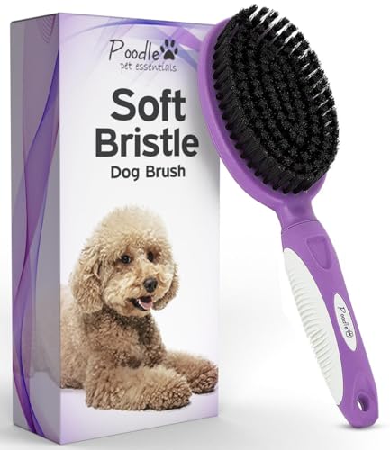 Soft Bristle Dog Brush For Short Haired Cats Or Dogs - Firm Bristles To Remove Dust, Dirt, And Loose Fur - Hook And Rubber...