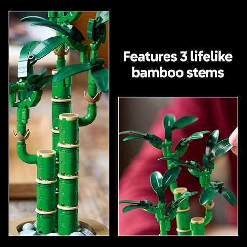 LEGO Botanicals Lucky Bamboo Building Set - Artificial Plant for Indoor Home Décor, Adults Ages 18+ - Gift for Birthdays f...