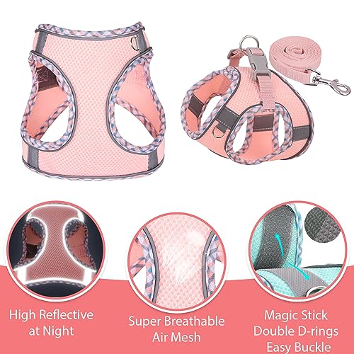PETPUBGNZS Cute Plaid No Pull Dog Harness for Small Dogs Soft Mesh Small Dog Harness and Leash Set Easy Walk Step in Puppy...