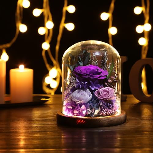 lovenfold Flowers for Delivery Preserved Rose Gifts for Women,Long-Lasting Forever Flowers in Glass Dome, Birthday Gifts f...
