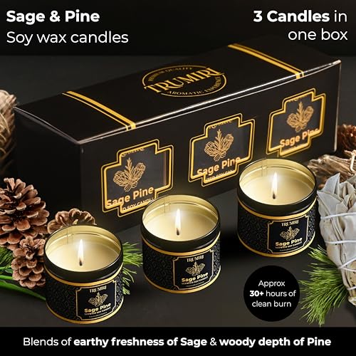 Sage & Pine Candle Strong Scented Soy Candel Natural Non Toxic Velas Aromáticas for Home Gift for Fall Christmas Holidays ...