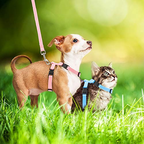 Outus 5 Pieces Adjustable Rabbit Harness and Leash Set Escape Proof Bunny Harness Vest for Pet Running Walk Jogging Bunny ...