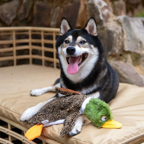 Best Pet Supplies Squeaky Dog Toys with Soft Durable Fabric for Small, Medium and Large Pets Interactive Toy for Indoor Pl...