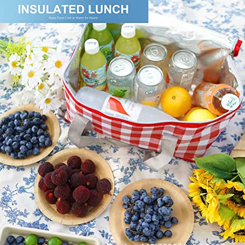 Insulated Picnic Cooler Bag - Zippered Top, Keeps Hot or Cold - Perfect for Picnics, Beach, Food Delivery & Outdoor (13.8x...