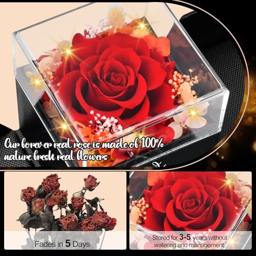 Mothers Day Gifts for Mom: Forever Real Rose with Heart I Love You Necklace Christmas Birthday Anniversary Valentines Day ...