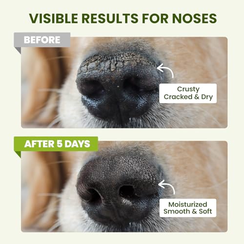 PawSono Lick-Safe Dog Paw & Nose Balm with Coconut Oil | All-Natural Moisturizer & Soother for Dry, Cracked Pads & Snout |...