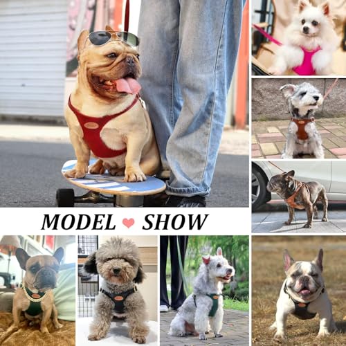 Beirui ‌Stylish PU Leather Dog Harness‌ and Leash Set for Small Dogs, ‌Adjustable Step in Dog Vest Harness with Breathable...
