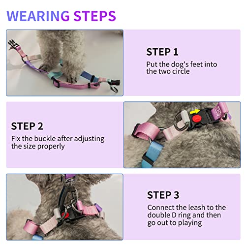 AIITLE No Pull Dog Harness & Leash & Collar - Adjustable Basic Collar with A Heavy Duty Leash - Super Sturdy Buckle and D ...