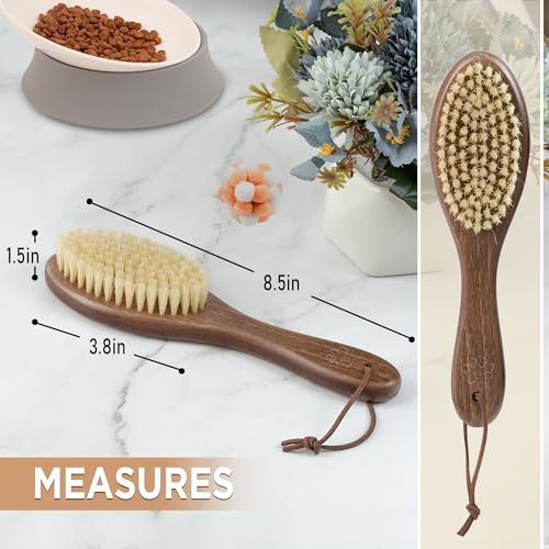 TAKAVU Natural White Boar Bristle Cat Brush - Gentle Grooming Tool for Sensitive Skin, Smoothing Fur & Healthy Shine - Sof...