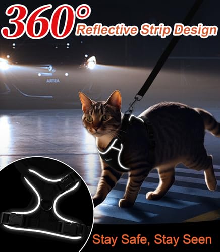 Cat Harness and Leash for Walking Escape Proof Soft Adjustable Cat Leash Breathable Comfortable Vest Easy to Wear Kitten H...
