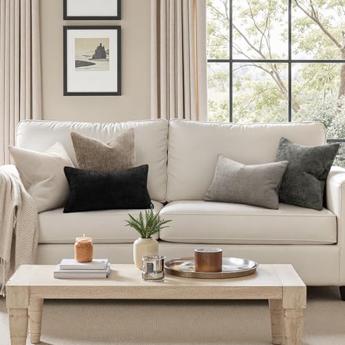 MIULEE Pack of 2 Couch Throw Pillow Covers 18x18 Inch Neutral Beige Modern Boho Accent Decorative Pillow Covers Soft Cheni...