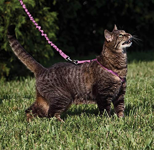 PetSafe Come With Me Kitty Cat Harness & Bungee Leash - Comfortable Cat Harness with Lightweight Bungee Leash for Outdoor ...