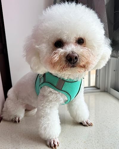 Solmoony Dog Harness for Small Medium Dogs No Pull, Puppy Harness and Leash Set, mesh Dog Harness. (Green, XS)
