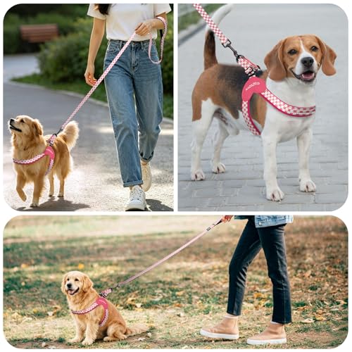 Kazazoo No Pull Small Dog Harness and Leash Set, Adjustable Puppy Soft Vest Harness with Breathable Mesh Padded, Reflectiv...